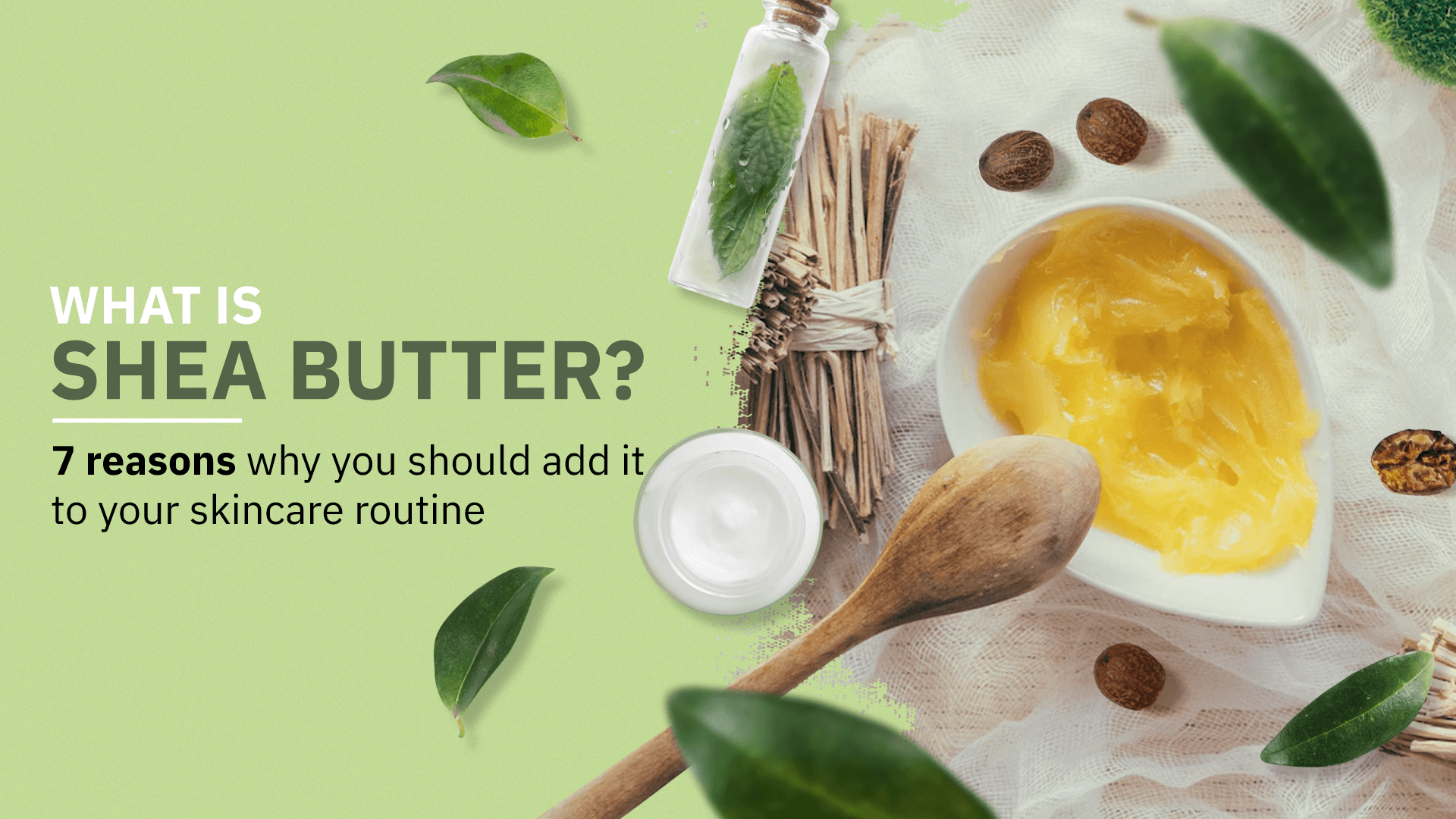 What Is Shea Butter? 7 Reasons Why You Should Add It To Your Skincare Routine - aaranyaa skincare
