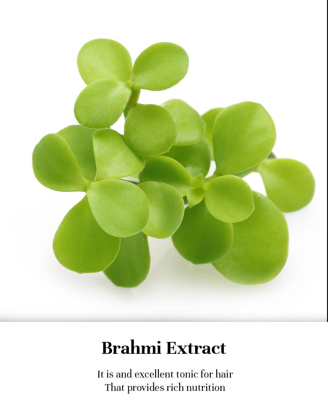 Brahmi_Extract - aaranyaa skincare