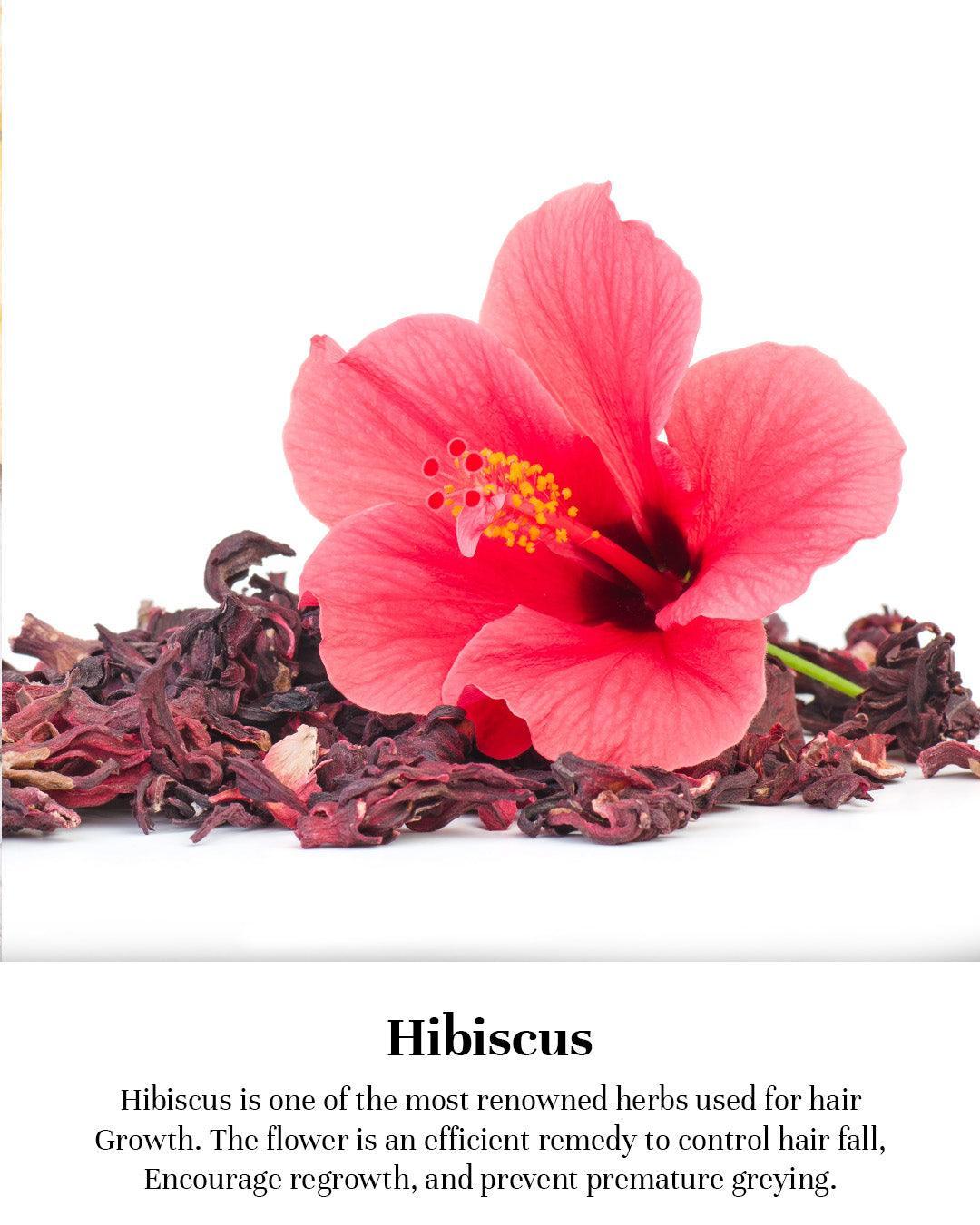 Hibisus