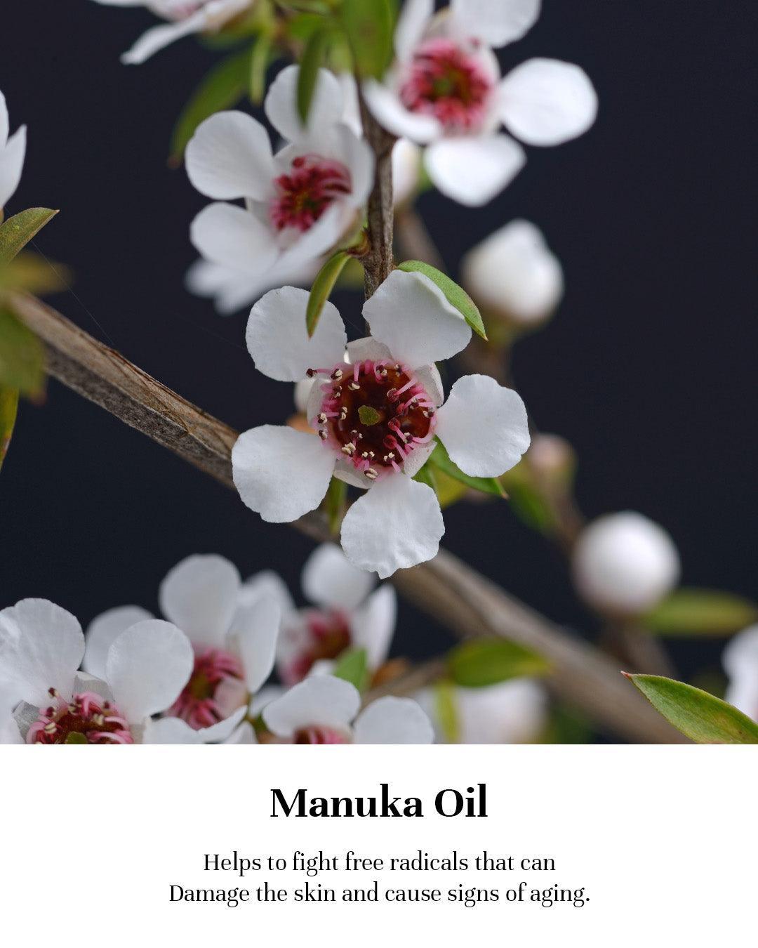 Manuka_oil - aaranyaa skincare